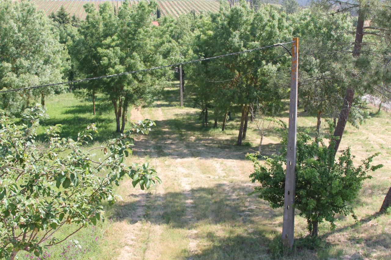 Herdade Dos Templarios Tomar Εξωτερικό φωτογραφία